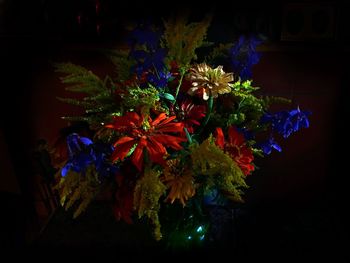 Colorful flowers at night