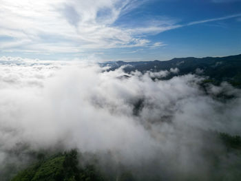 environment