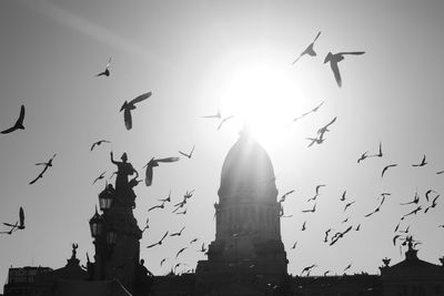 Low angle view of birds flying against sky