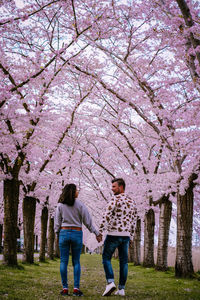 People standing by cherry blossom