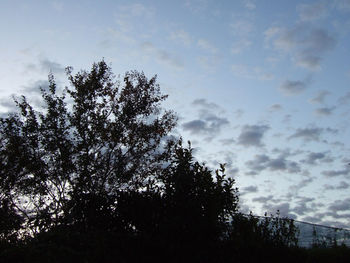 Low angle view of silhouette trees against sky at sunset