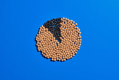 Directly above shot of bread against blue background