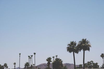 Low angle view of silhouette palm trees against clear sky