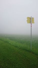 Grassy field in foggy weather