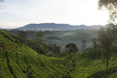 Scenic view of trees and mountains against sky