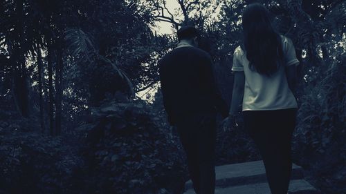 Rear view of women walking in forest