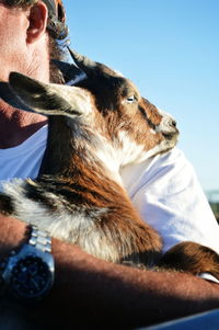 Close-up midsection of man holding goat