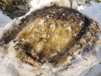 High angle view of frozen snow covered