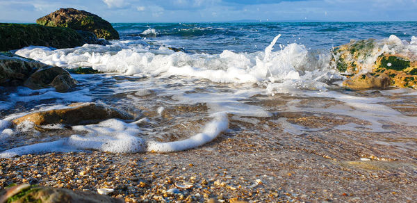 Scenic view of sea shore