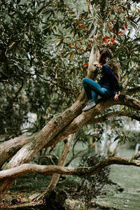 Low angle view of bird perching on tree in forest