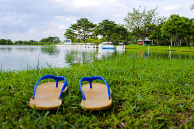 View of calm lake against trees