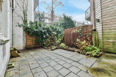 Plants growing outside building