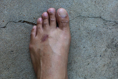 human leg