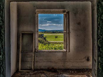 Plants growing on field seen through abandoned window