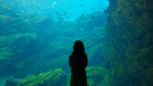 Rear view of woman standing in sea