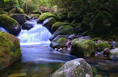 Scenic view of waterfall