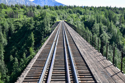 Empty train tracks through the alaskan landscape