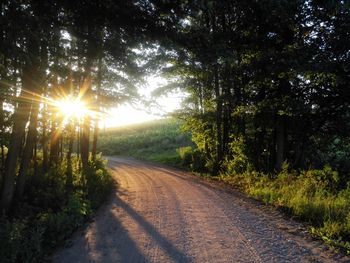 Road passing through forest