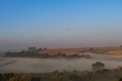 Birds flying over misty landscape against sky