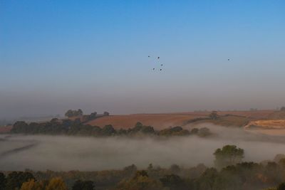 Birds flying over landscape against sky