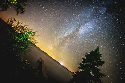 Low angle view of trees against sky at night