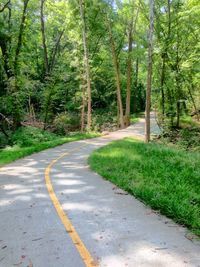 Empty road in forest