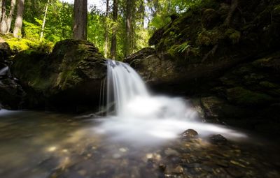 View of waterfall in forest