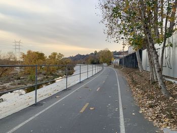 Road amidst trees against sky in city