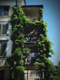 Low angle view of building