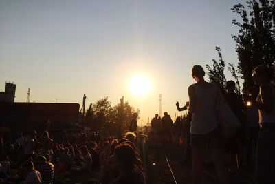 Sun shining through trees