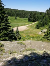 Scenic view of landscape against clear sky