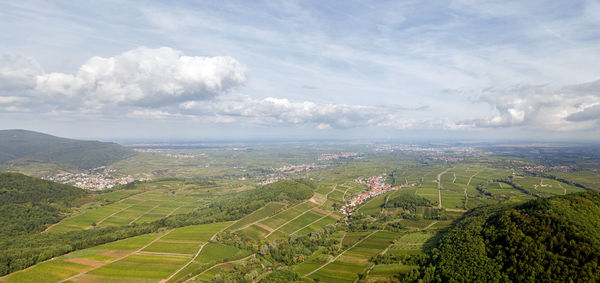 Scenic view of agricultural field against sky