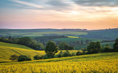 Scenic view of field against sky during sunset