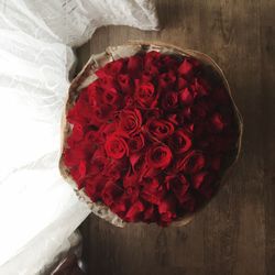 Close-up of red roses