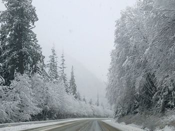 Snow covered landscape