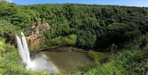 Scenic view of waterfall in forest