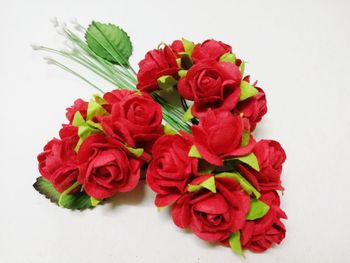 Close-up of red roses against white background