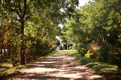 People walking in park