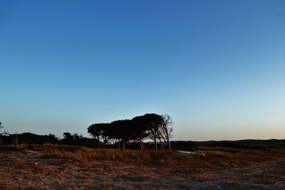 Scenic view of landscape against blue sky