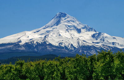 Scenic view of snowcapped mountains against clear sky