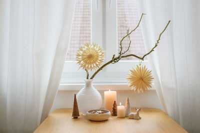 Potted plant on table at home