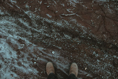Low section of person standing in water