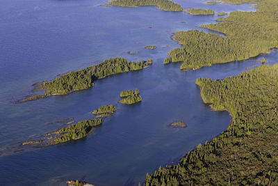 High angle view of lake amidst trees