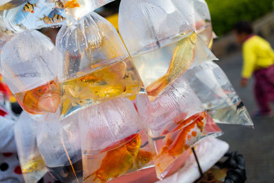 Fish in plastic at market for sale