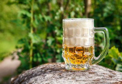 Close-up of beer glass on table