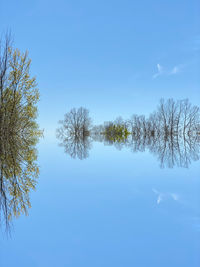 Reflection of trees in water against blue sky