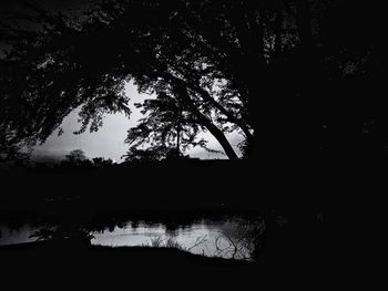 Silhouette trees by lake in forest against sky