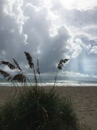 Scenic view of sea against cloudy sky