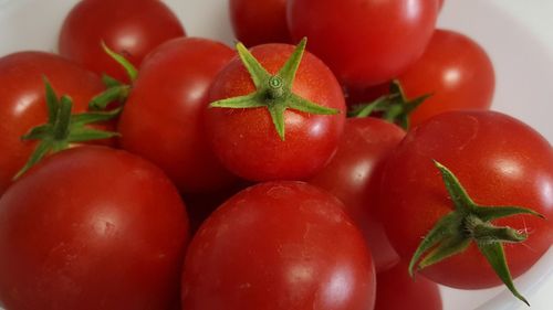 Close-up of tomatoes