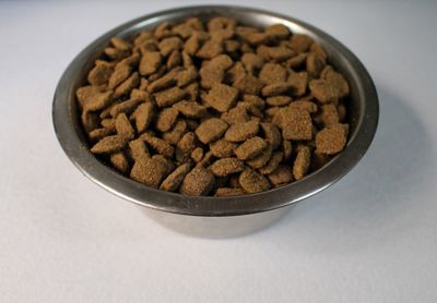 Close-up of dog food in bowl on white background